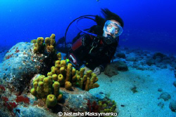 Lava formation, rock and sponge with diver by Natasha Maksymenko 